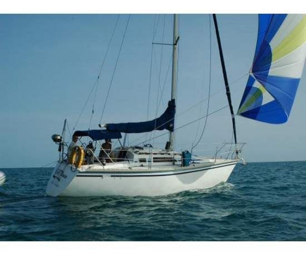 Used Hunter Sailboats For Sale in Florida by owner | 1988 Hunter 28.5